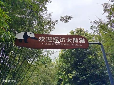 熊猫基地二期在哪里