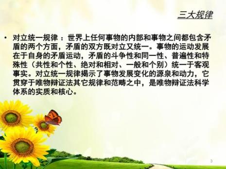 哲学规律