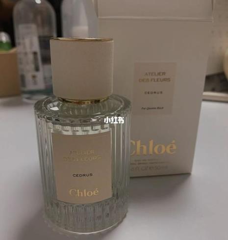 北国雪松是哪里的牌子