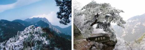 庐山一年有多少人去