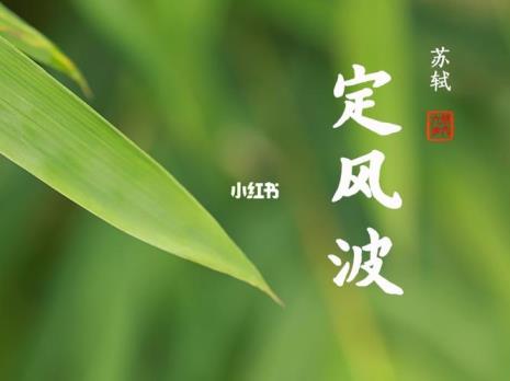 苏轼的定风波是怎样描写竹子的