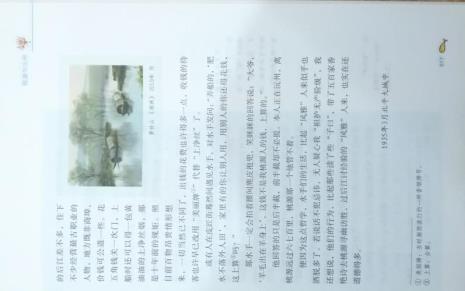 湘行散记第二篇写了什么