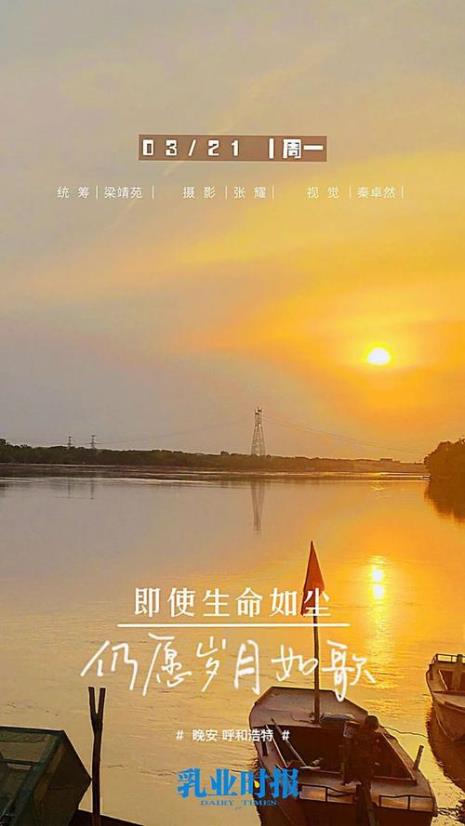 即使岁月如尘仍愿岁月如歌