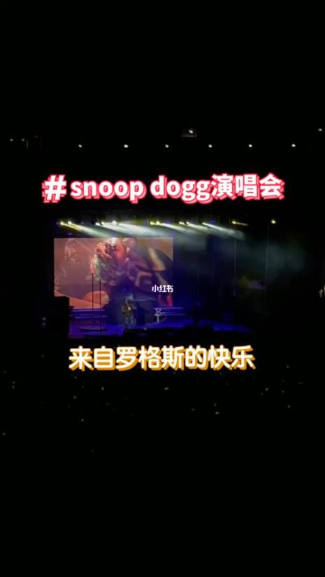 罗格斯什么意思