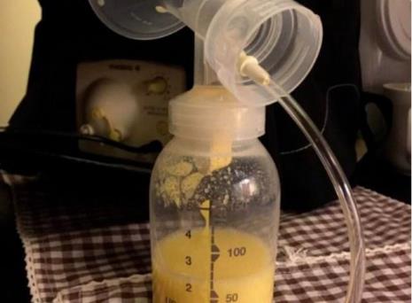 乳汁是牛奶吗