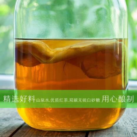 养海宝菌每天都要加醋吗