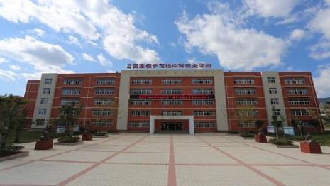 中职院校是高中还是大专