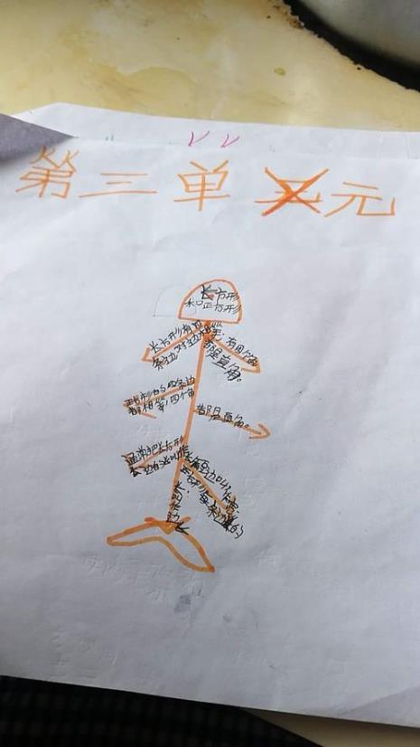 小学三年级数学思维导图怎么画