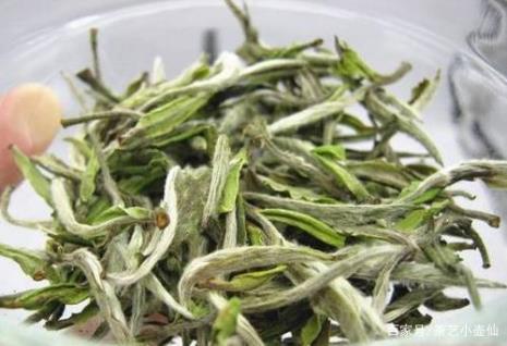 白茶的口感怎么形容