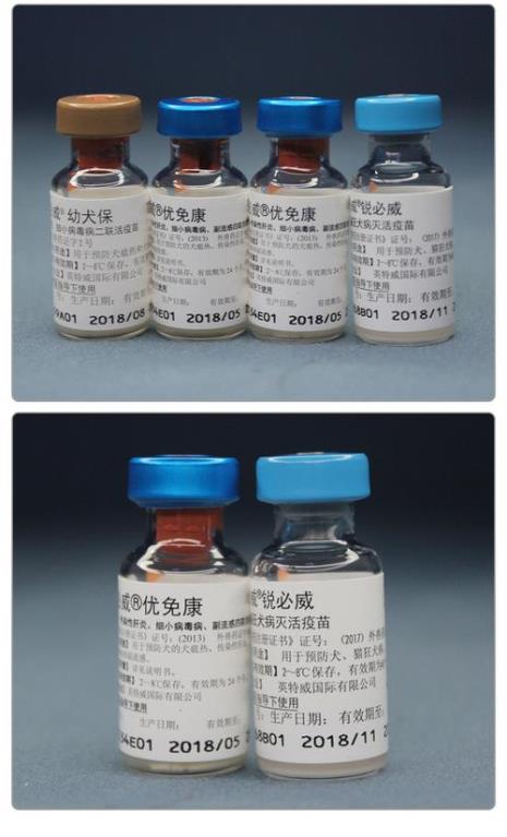 英特威和妙三多哪个好