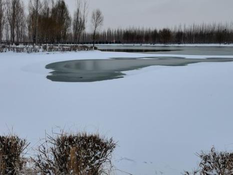 描写雪美的诗句瑞雪兆丰年
