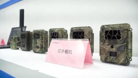 云箭的意思