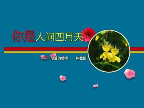 你是人间四月天这首歌哪年火的