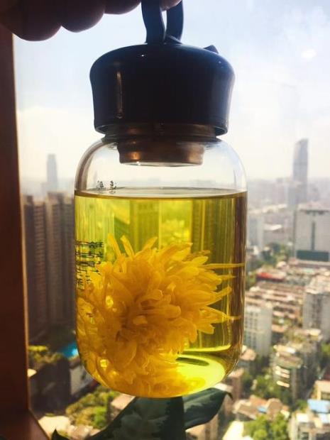 一朵金丝皇菊泡多少毫升水