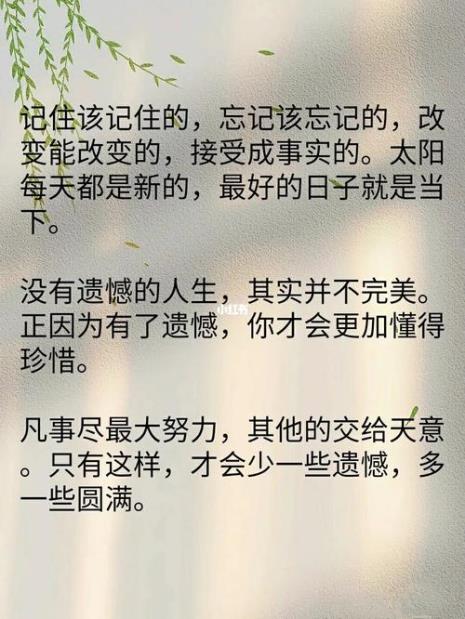 人生有点遗憾才算完美什么意思