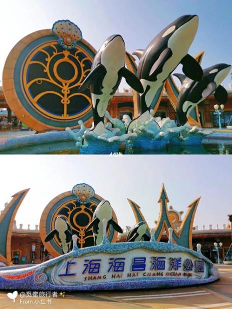 上海海昌公园的漂流介绍