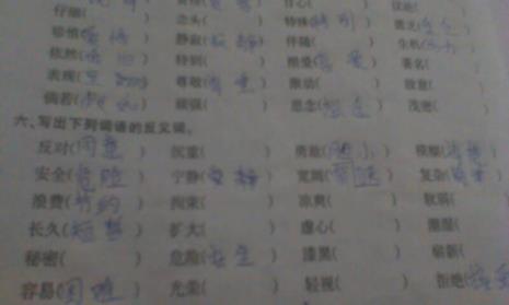 炎炎反义词是什么
