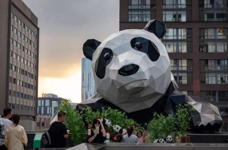 ifs属于什么档次