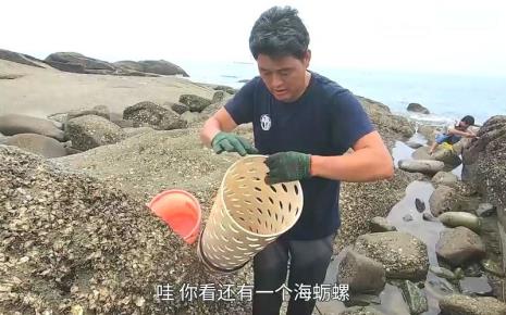 阿阳赶海视频是真的吗
