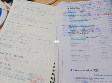 法语是英语的母语吗