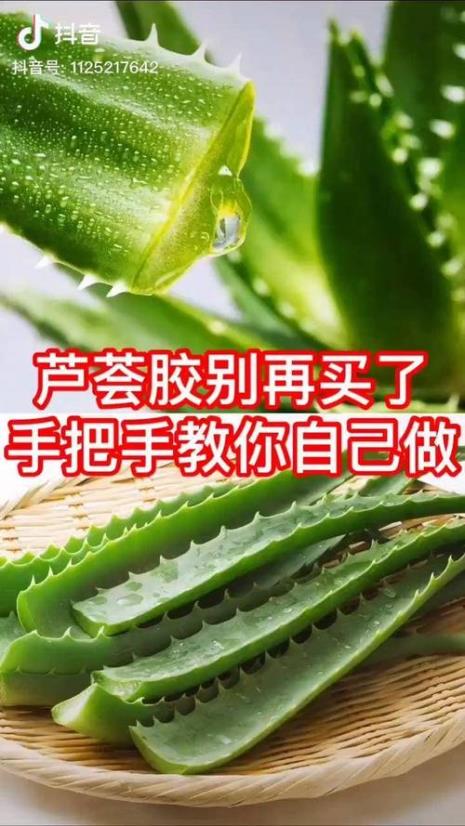 在家芦荟胶储存制作方法