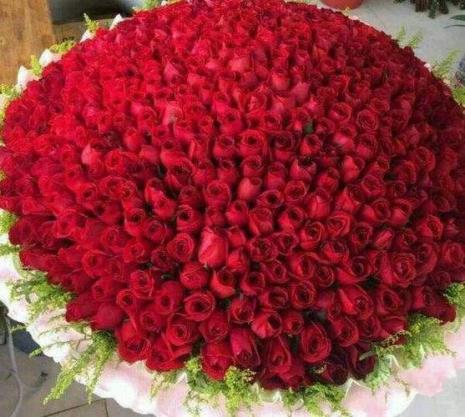 求婚送多少朵roseonly玫瑰花合适