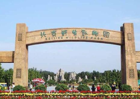 大兴野生动物园动物分布图
