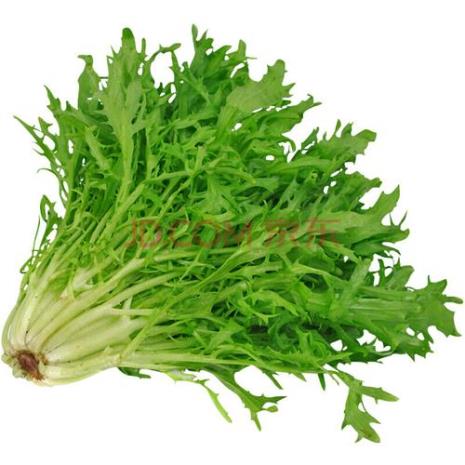 九芽生菜好吃吗