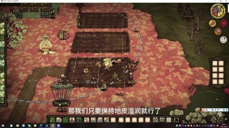 饥荒联机版火龙果怎么种