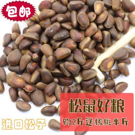 1斤松子多少钱