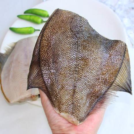 深海鲽鱼与浅海鲽鱼区别