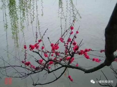 倚柳摇扇的诗句