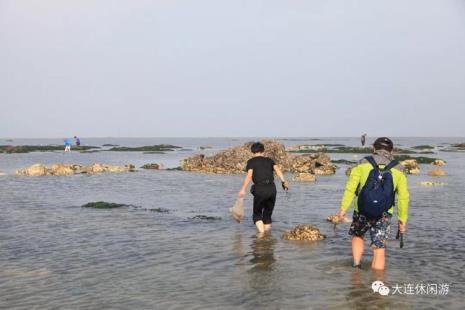 大连拉树房几点退潮