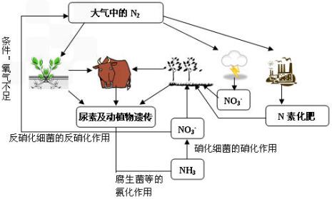 碳循环原理