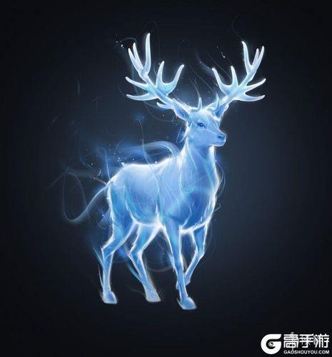 哈利波特守护神是随机的吗