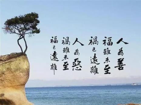 天道有轮回苍天放过谁全文