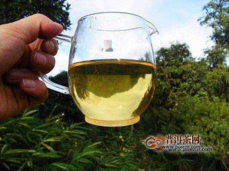 曼松琥珀金针茶的特点