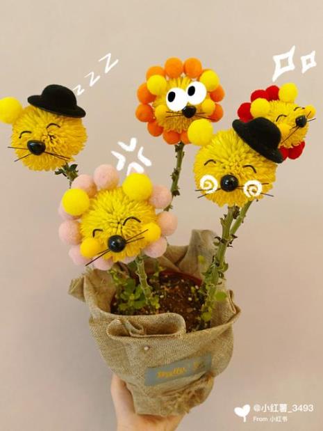 乒乓菊如何才能枝干粗壮