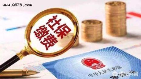 2009年社保停缴可以补