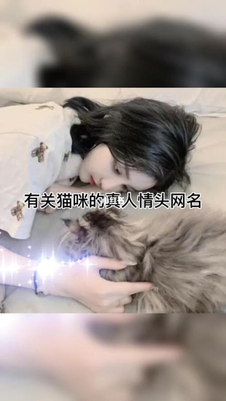 猫原始昵称