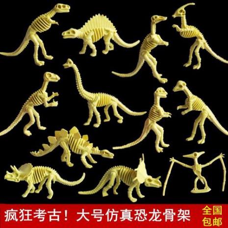恐龙骨架一般需要多少骨头组成