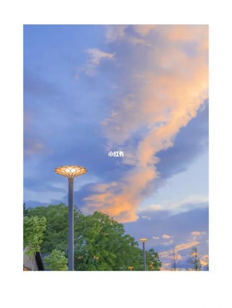 那年夏天的文案