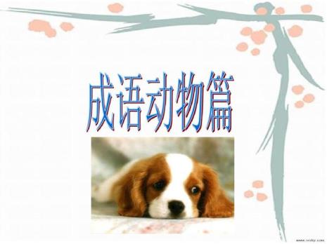 关于含有数动物名的成语