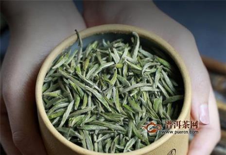 寿宁白茶好不好