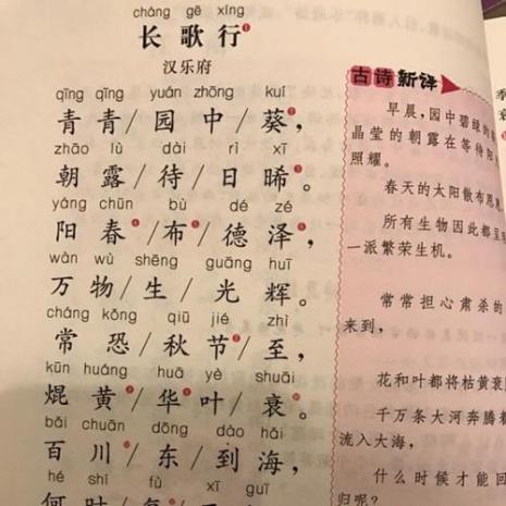 汉乐府长歌行全诗什么意思