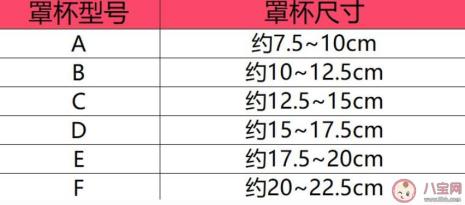 胸围尺码怎么选