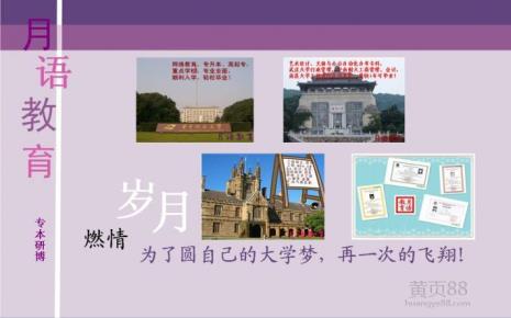 专升本多久可以在学信网上查到