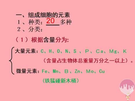 细胞中的大量元素