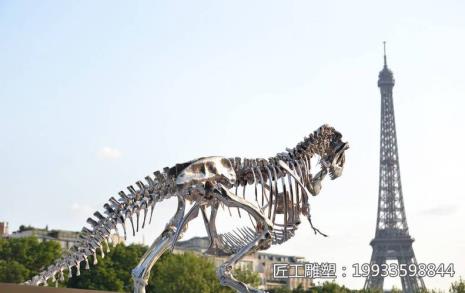 鸡的骨架与恐龙的骨架相似