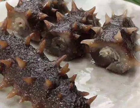 有人知道处理海参怎么处理吗